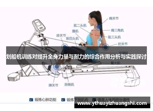 划船机训练对提升全身力量与耐力的综合作用分析与实践探讨