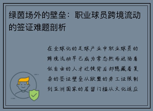 绿茵场外的壁垒：职业球员跨境流动的签证难题剖析